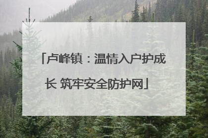 卢峰镇：温情入户护成长 筑牢安全防护网