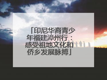 印尼华裔青少年福建漳州行：感受祖地文化和侨乡发展脉搏