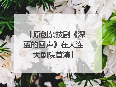 原创杂技剧《深蓝的回声》在大连大剧院首演