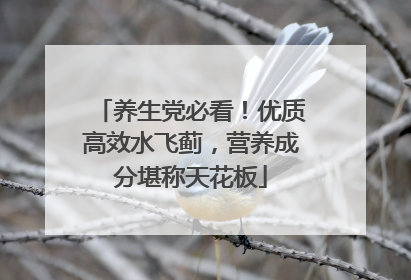 养生党必看！优质高效水飞蓟，营养成分堪称天花板