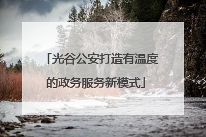 光谷公安打造有温度的政务服务新模式