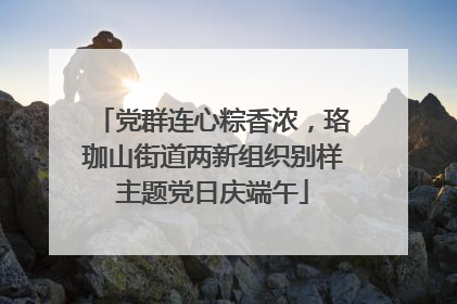 党群连心粽香浓，珞珈山街道两新组织别样主题党日庆端午