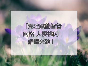 党建赋能智管网格 大樱桃闪耀振兴路