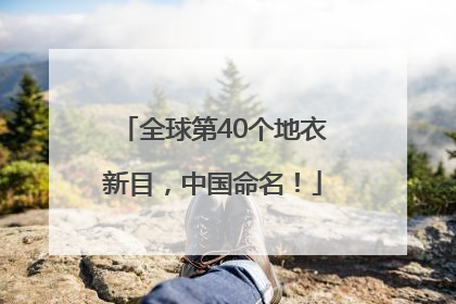 全球第40个地衣新目，中国命名！