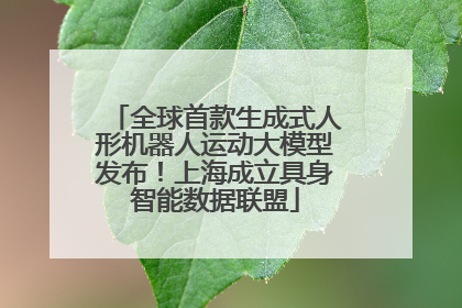 全球首款生成式人形机器人运动大模型发布！上海成立具身智能数据联盟