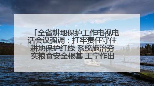 全省耕地保护工作电视电话会议强调：扛牢责任守住耕地保护红线 系统施治夯实粮食安全根基 王宁作出批示 王予波出席并讲话