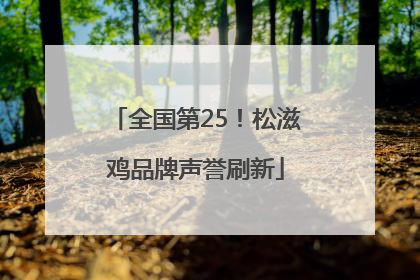 全国第25！松滋鸡品牌声誉刷新