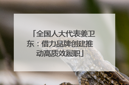 全国人大代表姜卫东：借力品牌创建推动高质效履职