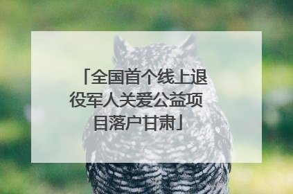 全国首个线上退役军人关爱公益项目落户甘肃