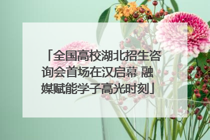 全国高校湖北招生咨询会首场在汉启幕 融媒赋能学子高光时刻