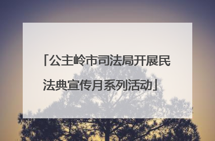 公主岭市司法局开展民法典宣传月系列活动