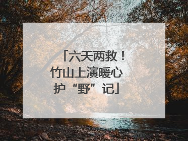 六天两救！竹山上演暖心护“野”记