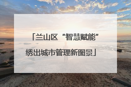 兰山区“智慧赋能”绣出城市管理新图景