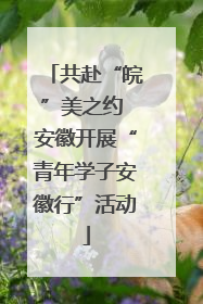 共赴“皖”美之约 安徽开展“青年学子安徽行”活动