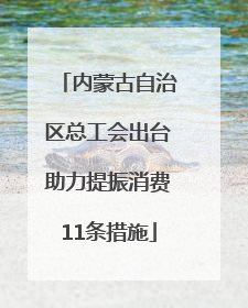 内蒙古自治区总工会出台助力提振消费11条措施