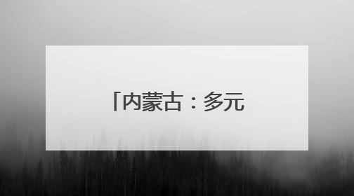 内蒙古：多元协同构筑产业发展新高地