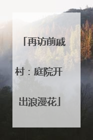 再访前戚村：庭院开出浪漫花