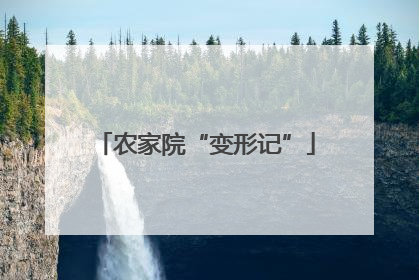 农家院“变形记”