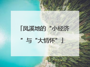 凤溪地的“小经济”与“大情怀”