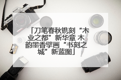 刀笔春秋镌刻“木业之都”新华章 木韵墨香擘画“书刻之城”新蓝图