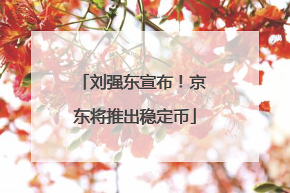 刘强东宣布！京东将推出稳定币