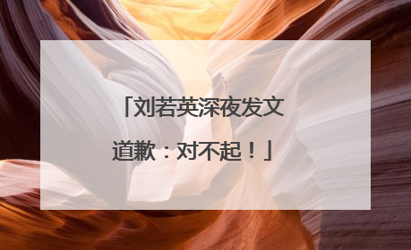 刘若英深夜发文道歉：对不起！