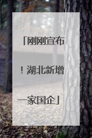 刚刚宣布！湖北新增一家国企