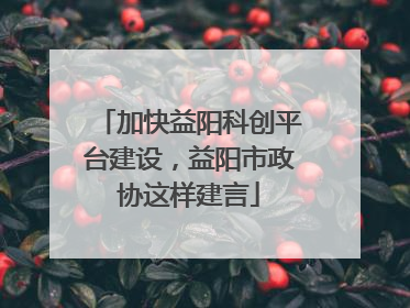 加快益阳科创平台建设，益阳市政协这样建言