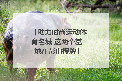 助力时尚运动体育名城 这两个基地在彭山授牌