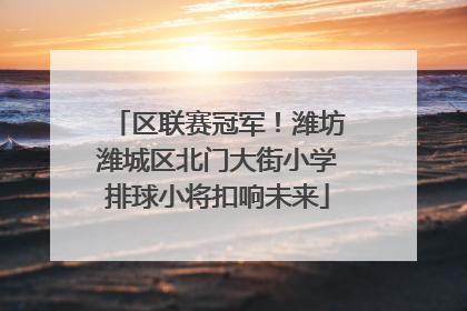 区联赛冠军！潍坊潍城区北门大街小学排球小将扣响未来