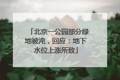 北京一公园部分绿地被淹，回应：地下水位上涨所致