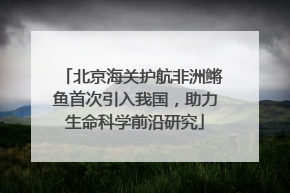 北京海关护航非洲鳉鱼首次引入我国，助力生命科学前沿研究