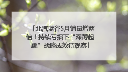 北汽蓝谷5月销量增两倍！持续亏损下“深蹲起跳”战略成效待观察