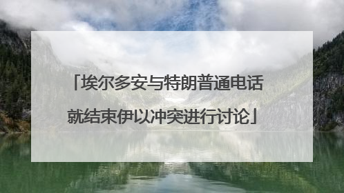 埃尔多安与特朗普通电话 就结束伊以冲突进行讨论