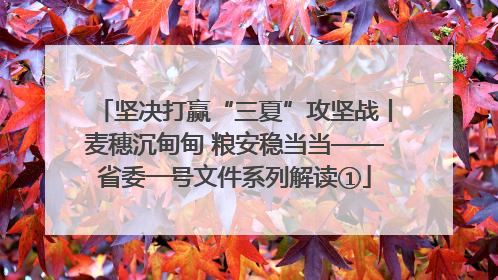 坚决打赢“三夏”攻坚战丨麦穗沉甸甸 粮安稳当当——省委一号文件系列解读①