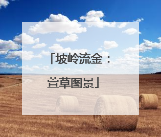 坡岭流金：萱草图景