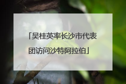 吴桂英率长沙市代表团访问沙特阿拉伯