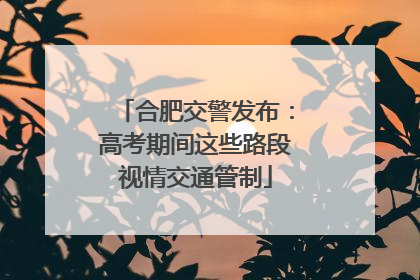 合肥交警发布：高考期间这些路段视情交通管制