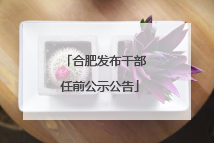 合肥发布干部任前公示公告