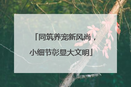 同筑养宠新风尚，小细节彰显大文明