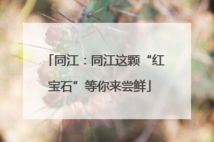 同江：同江这颗“红宝石”等你来尝鲜