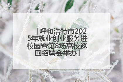 呼和浩特市2025年就业创业服务进校园暨第8场高校巡回招聘会举办