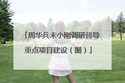 周华兵未小刚调研督导重点项目建设（图）