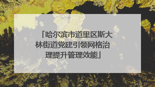 哈尔滨市道里区斯大林街道党建引领网格治理提升管理效能