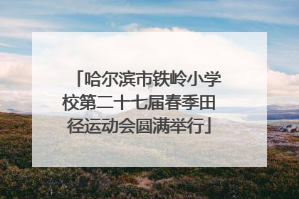 哈尔滨市铁岭小学校第二十七届春季田径运动会圆满举行