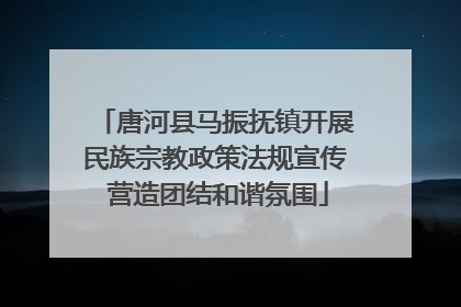 唐河县马振抚镇开展民族宗教政策法规宣传 营造团结和谐氛围