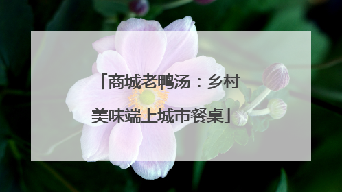 商城老鸭汤：乡村美味端上城市餐桌