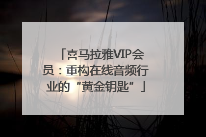 喜马拉雅VIP会员：重构在线音频行业的“黄金钥匙”