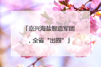 嘉兴海盐智造军团，全省“出圈”
