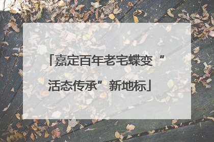 嘉定百年老宅蝶变“活态传承”新地标